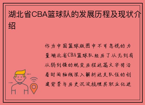 湖北省CBA篮球队的发展历程及现状介绍